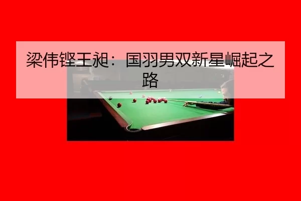 梁伟铿王昶：国羽男双新星崛起之路（kaiyun app）